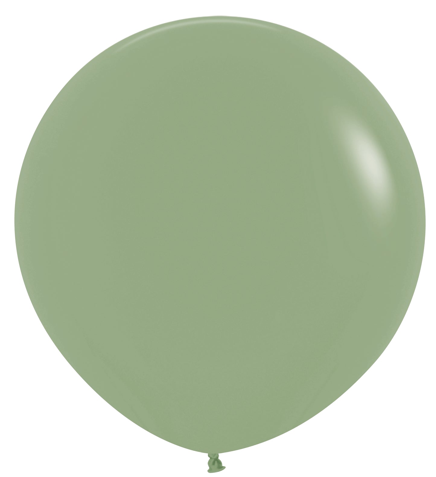 Deluxe Eucalyptus Round Latex Balloon